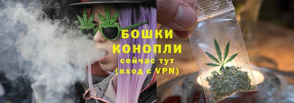 mdpv Инсар