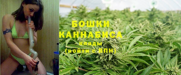 2c-b Инта