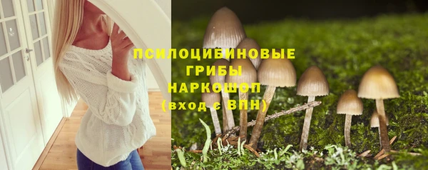 2c-b Инта